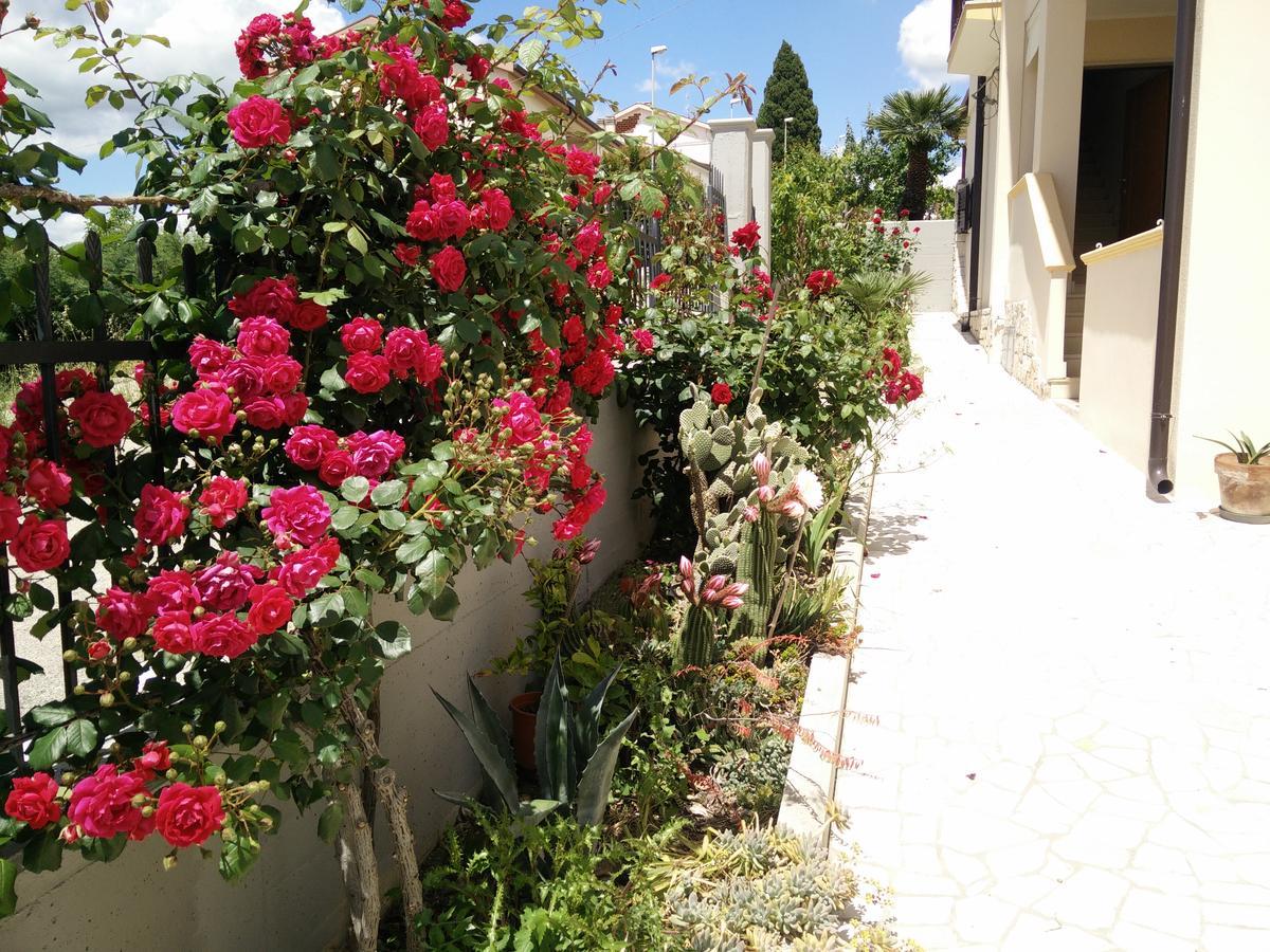 B&B Green Da Maria Матера Екстериор снимка